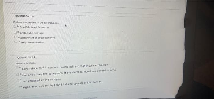 QUESTION 16
Protein maturation in the ER includes.
DA. Disuifide bend formation
O proteolytic cleavage
OC attachment of oligosaccharide
OO Prolyl isomertzation
QUESTION 17
Neurotranmitters
DA
Can induce Ca+ flux in a muscle cell and thus muscle contraction
are effectively the conversion of the electrical signal into a chemical signal
Care released at the synapse
O signal the next cell by ligand induced opening of ion channels
