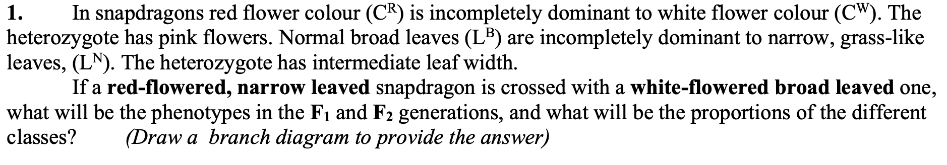 In snapdragons red flower colour (CR) is incompletely dominant to white flower colour (CW). The
heterozygote has pink flowers. Normal broad leaves (LB) are incompletely dominant to narrow, grass-like
leaves, (LN). The heterozygote has intermediate leaf width.
If a red-flowered, narrow leaved snapdragon is crossed with a white-flowered broad leaved one,
what will be the phenotypes in the F1 and F2 generations, and what will be the proportions of the different
classes?
1.
(Draw a branch diagram to provide the answer)
