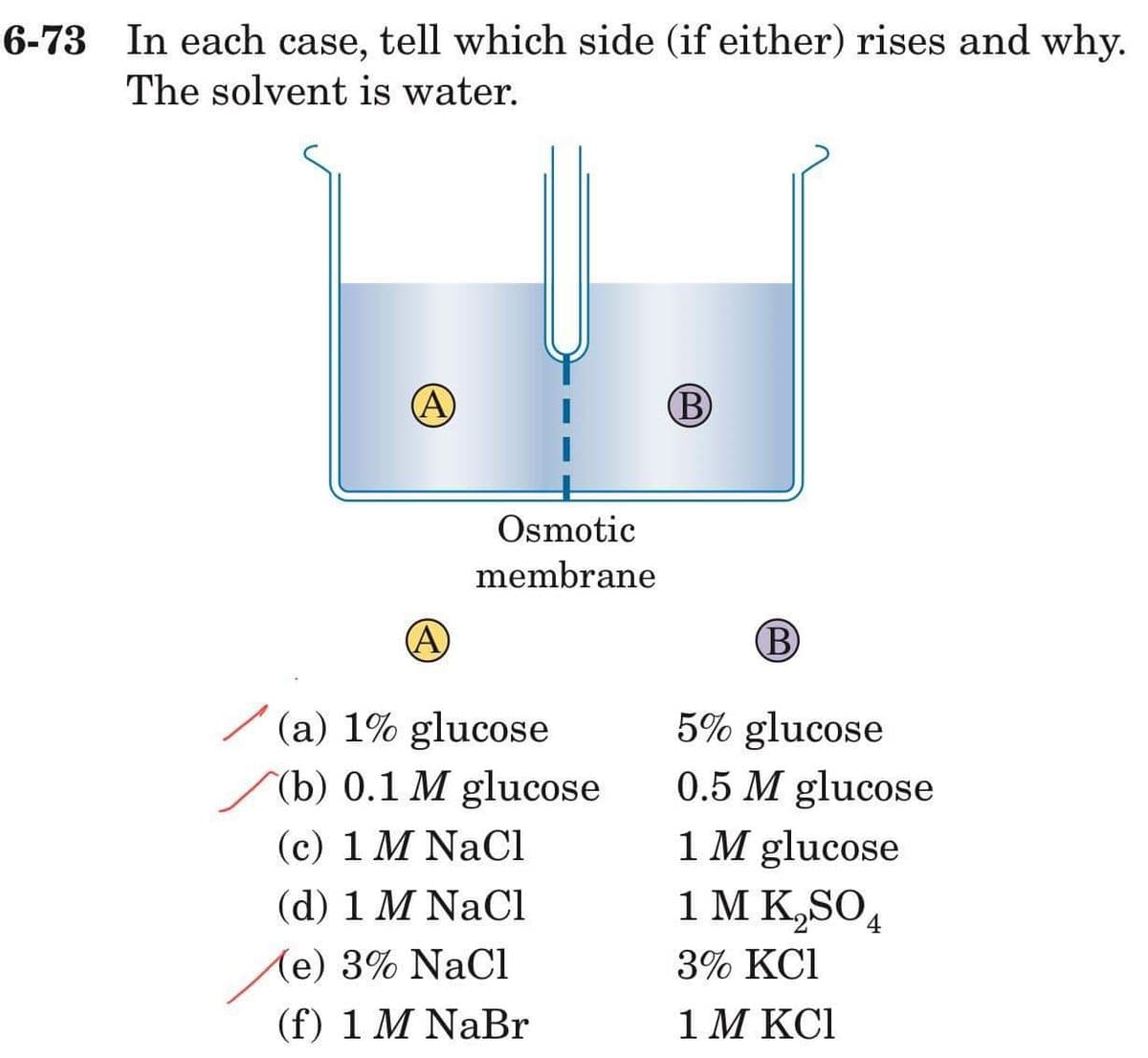 6-73 In each case, tell which side (if either) rises and why.
The solvent is water.
A
A
Osmotic
membrane
(a) 1% glucose
(b) 0.1 M glucose
(c) 1 M NaCl
(d) 1 M NaCl
(e) 3% NaCl
(f) 1 M NaBr
(B)
B
5% glucose
0.5 M glucose
1 M glucose
1 M K₂SO4
3% KC1
1 M KC1
