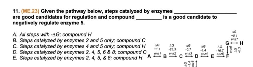 11. (ME.23) Given the pathway below, steps catalyzed by enzymes,
are good candidates for regulation and compound
negatively regulate enzyme 5.
A. All steps with -AG; compound H
B. Steps catalyzed by enzymes 2 and 5 only; compound C
C. Steps catalyzed by enzymes 4 and 5 only; compound H
D. Steps catalyzed by enzymes 2, 4, 5, 6 & 8; compound C
E. Steps catalyzed by enzymes 2, 4, 5, & 8; compound H A
is a good candidate to
AG
+0.1
enz7
AG
AG
AG
H
AG
AG
+1.1
-23.3
-0.7
-1.4
-16.7
enz1
enz2
enz3
AG
enz4
enz5
-