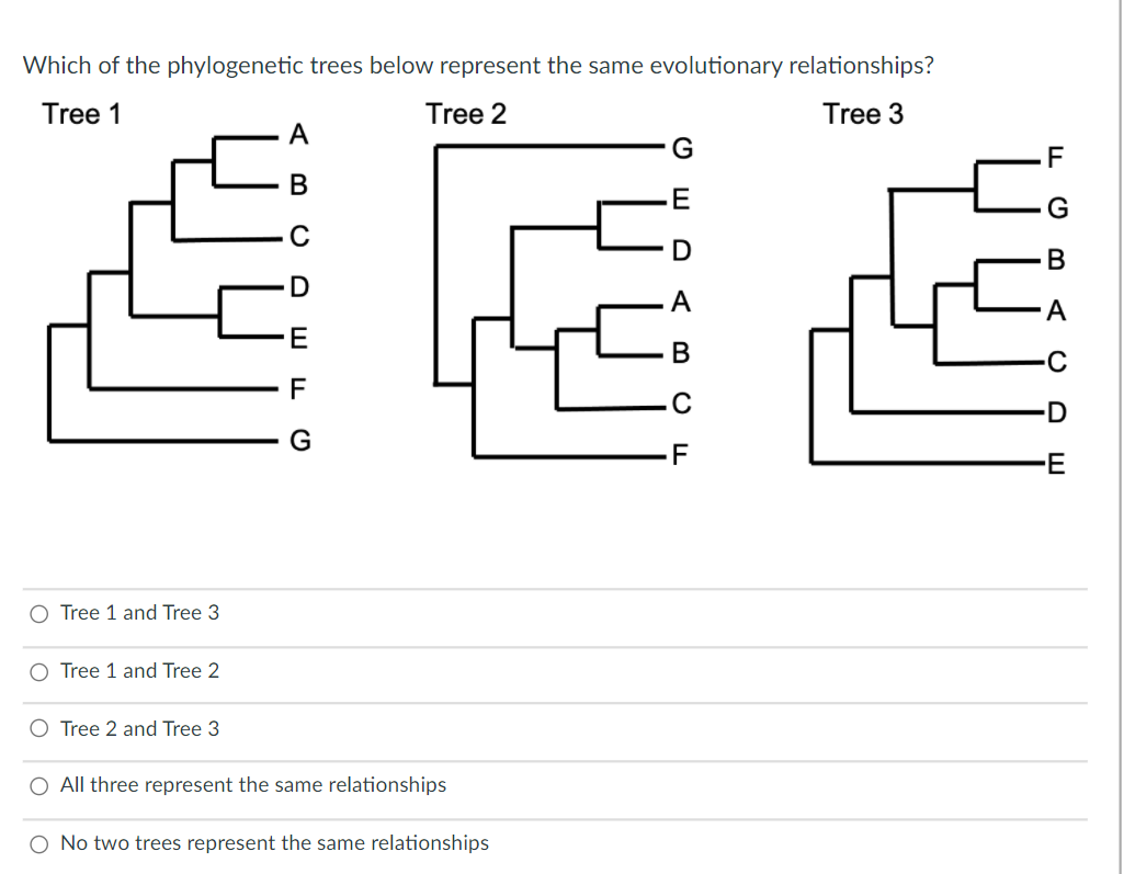 Which of the phylogenetic trees below represent the same evolutionary relationships?
Tree 1
Tree 2
Tree 3
D
В
D
G
·E
O Tree 1 and Tree 3
O Tree 1 and Tree 2
O Tree 2 and Tree 3
All three represent the same relationships
O No two trees represent the same relationships
