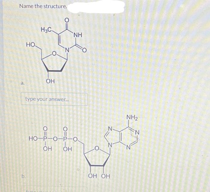 Name the structure.
a.
НО
b.
H3C.
ОН
type your answer...
NH
HO-P-O-P-0
ОН
OH
N-
OH OH
NH₂
N