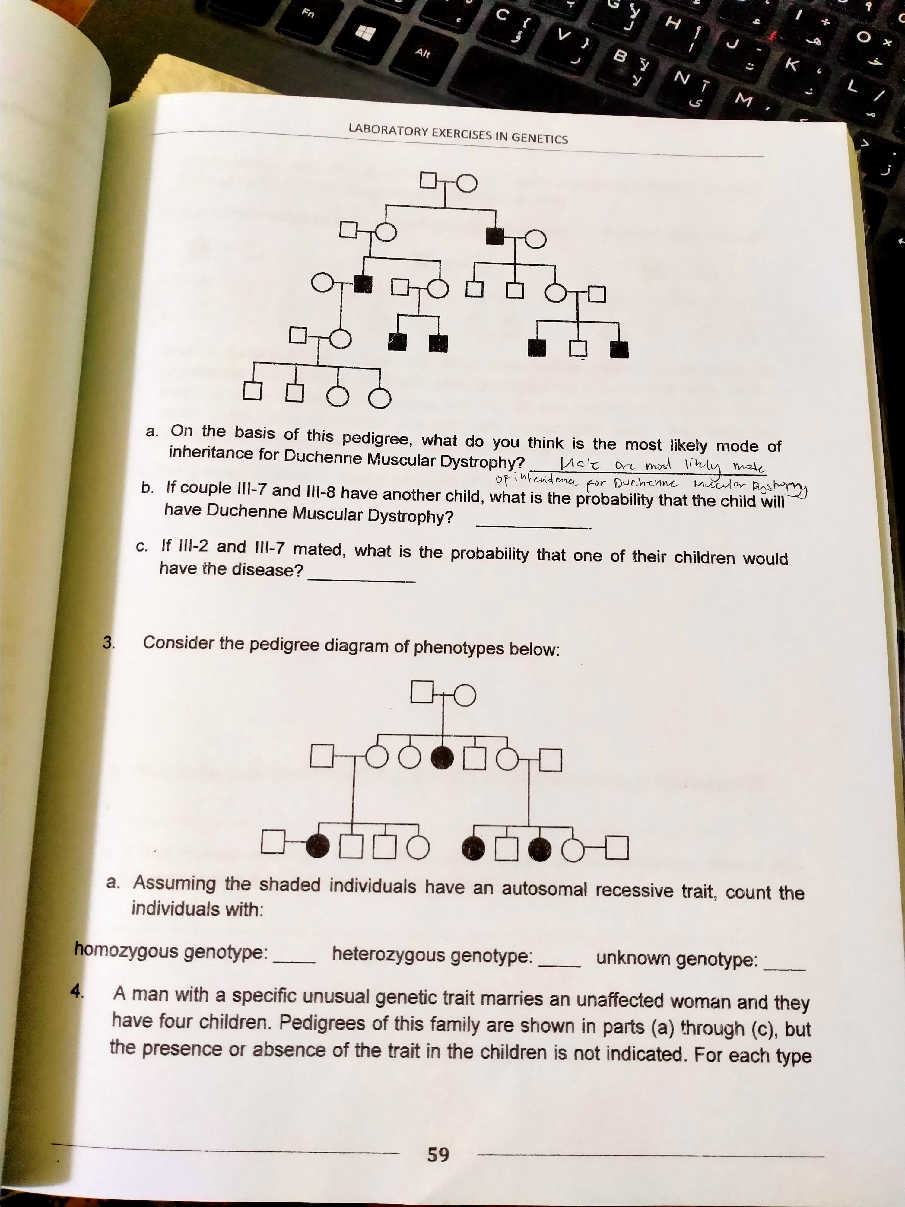 LABORATORY EXERCISES IN GENETICS
a. On the basis of this pedigree, what do you think is the most likely mode of
inheritance for Duchenne Muscular Dystrophy?
are most likly made
op intentence for Duchenne Miscular Rysty
Uale
b. If couple III-7 and IlI-8 have another child, what is the probability that the child will
have Duchenne Muscular Dystrophy?
c. If IlI-2 and IlI-7 mated, what is the probability that one of their children would
have the disease?
