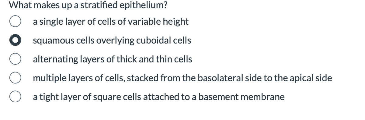 What makes up a stratified epithelium?
a single layer of cells of variable height
squamous cells overlying cuboidal cells
alternating layers of thick and thin cells
multiple layers of cells, stacked from the basolateral side to the apical side
a tight layer of square cells attached to a basement membrane