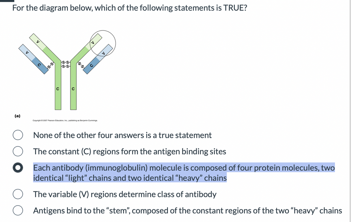 For the diagram below, which of the following statements is TRUE?
(a)
V C
L
-s-s-+
S-S-
s-s-
с
S-S-
V
CV
Copyright © 2007 Pearson Education, Inc., publishing as Benjamin Cummings
None of the other four answers is a true statement
The constant (C) regions form the antigen binding sites
Each antibody (immunoglobulin) molecule is composed of four protein molecules, two
identical "light" chains and two identical “heavy” chains
The variable (V) regions determine class of antibody
Antigens bind to the "stem", composed of the constant regions of the two "heavy" chains