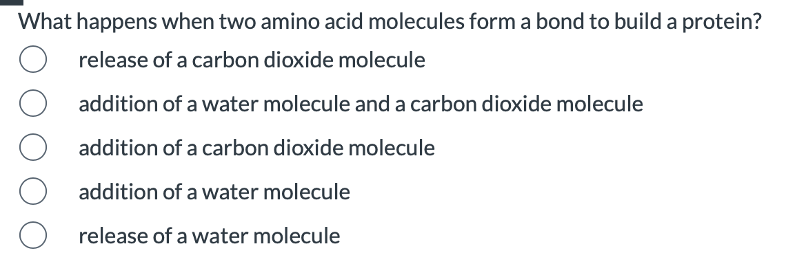 What happens when two amino acid molecules form a bond to build a protein?
release of a carbon dioxide molecule
addition of a water molecule and a carbon dioxide molecule
addition of a carbon dioxide molecule
addition of a water molecule
release of a water molecule