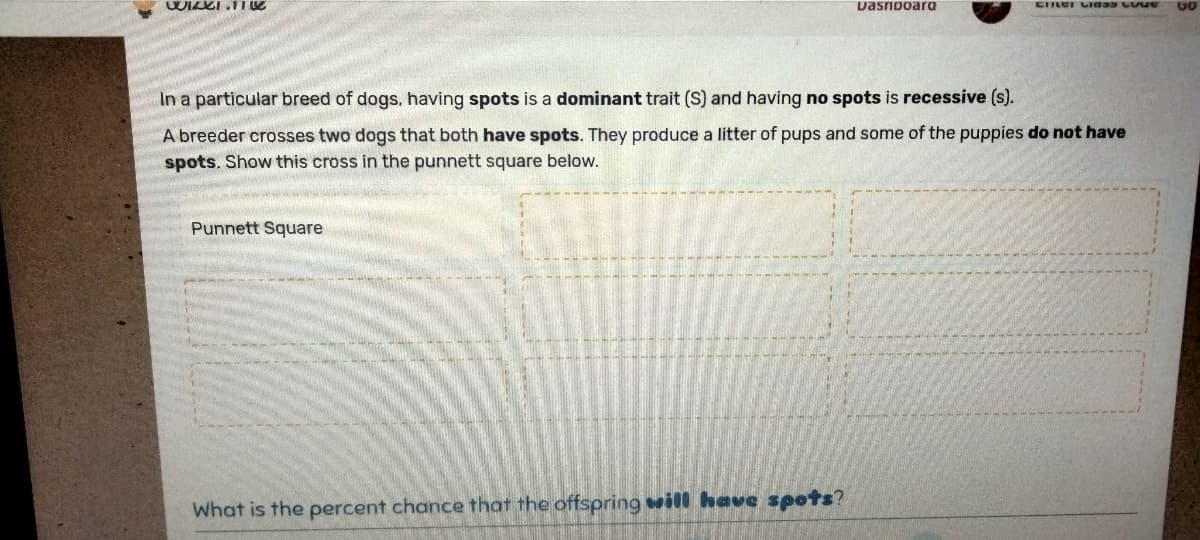 WIZKI TIL
Punnett Square
Dashboard
In a particular breed of dogs, having spots is a dominant trait (S) and having no spots is recessive (s).
A breeder crosses two dogs that both have spots. They produce a litter of pups and some of the puppies do not have
spots. Show this cross in the punnett square below.
What is the percent chance that the offspring will have spots?
Ciner Cla
GO