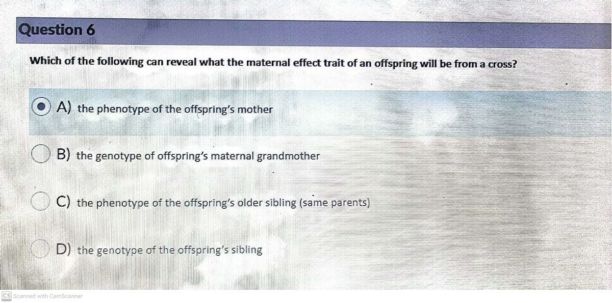 Question 6
Which of the following can reveal what the maternal effect trait of an offspring will be from a cross?
O A) the phenotype of the offspring's mother
B) the genotype of offspring's maternal grandmother
C) the phenotype of the offspring's older sibling (same parents)
D) the genotype of the offspring's sibling
CS Scanned with CamScanner
