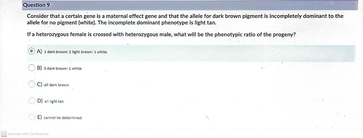 Question 9
Consider that a certain gene is a maternal effect gene and that the allele for dark brown pigment is incompletely dominant to the
allele for no pigment (white). The incomplete dominant phenotype is light tan.
If a heterozygous female is crossed with heterozygous male, what will be the phenotypic ratio of the progeny?
A) 1 dark brown: 2 light brown: 1 white.
B) 3 dark brown: 1 white
C). all dark brown
D) all light tan
E) cannot be determined
CS Scanned with CamScanner
