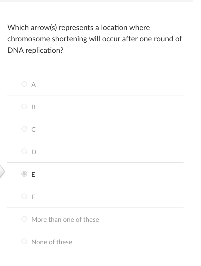 Which arrow(s) represents a location where
chromosome shortening will occur after one round of
DNA replication?
O
O
A
B
C
U
E
OF
More than one of these
None of these