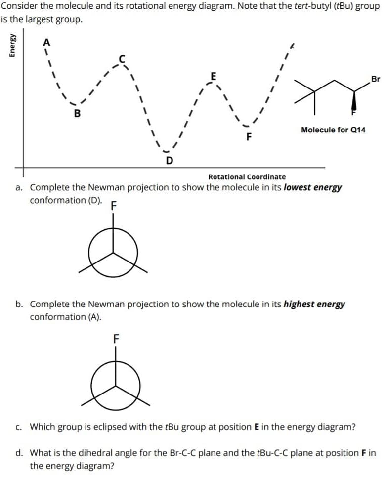 Consider the molecule and its rotational energy diagram. Note that the tert-butyl (tBu) group
is the largest group.
A
Br
B
Molecule for Q14
Rotational Coordinate
a. Complete the Newman projection to show the molecule in its lowest energy
conformation (D).
F
b. Complete the Newman projection to show the molecule in its highest energy
conformation (A).
F
c. Which group is eclipsed with the tBu group at position E in the energy diagram?
d. What is the dihedral angle for the Br-C-C plane and the tBu-C-C plane at position F in
the energy diagram?
Energy
