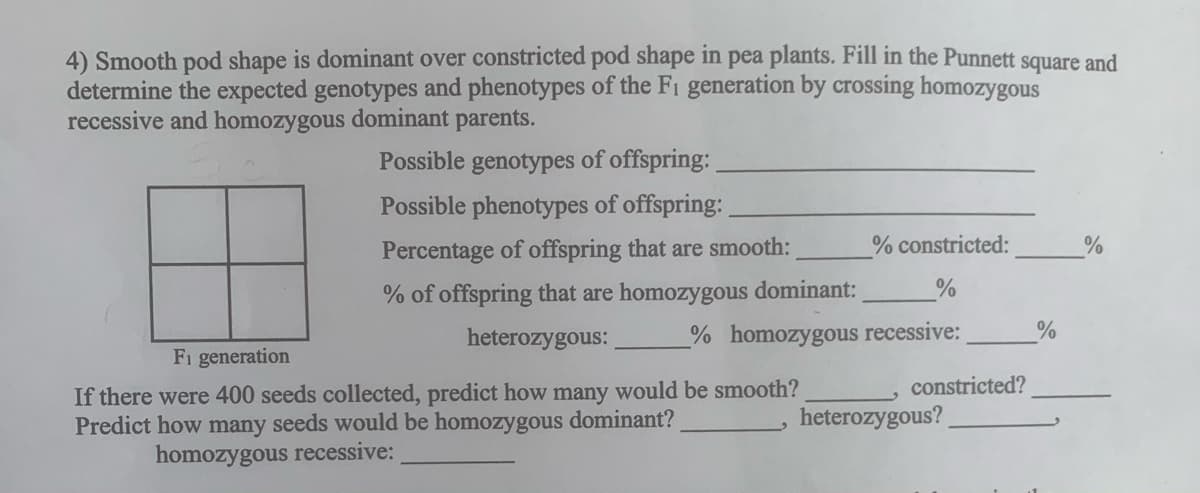 4) Smooth pod shape is dominant over constricted pod shape in pea plants. Fill in the Punnett square and
determine the expected genotypes and phenotypes of the F1 generation by crossing homozygous
recessive and homozygous dominant parents.
Possible
genotypes
s of offspring:
Possible phenotypes of offspring:
Percentage of offspring that are smooth:
% constricted:
% of offspring that are homozygous dominant:
heterozygous:
% homozygous recessive:
Fi generation
constricted?
If there were 400 seeds collected, predict how many would be smooth?
Predict how many seeds would be homozygous dominant?
heterozygous?
homozygous recessive:
