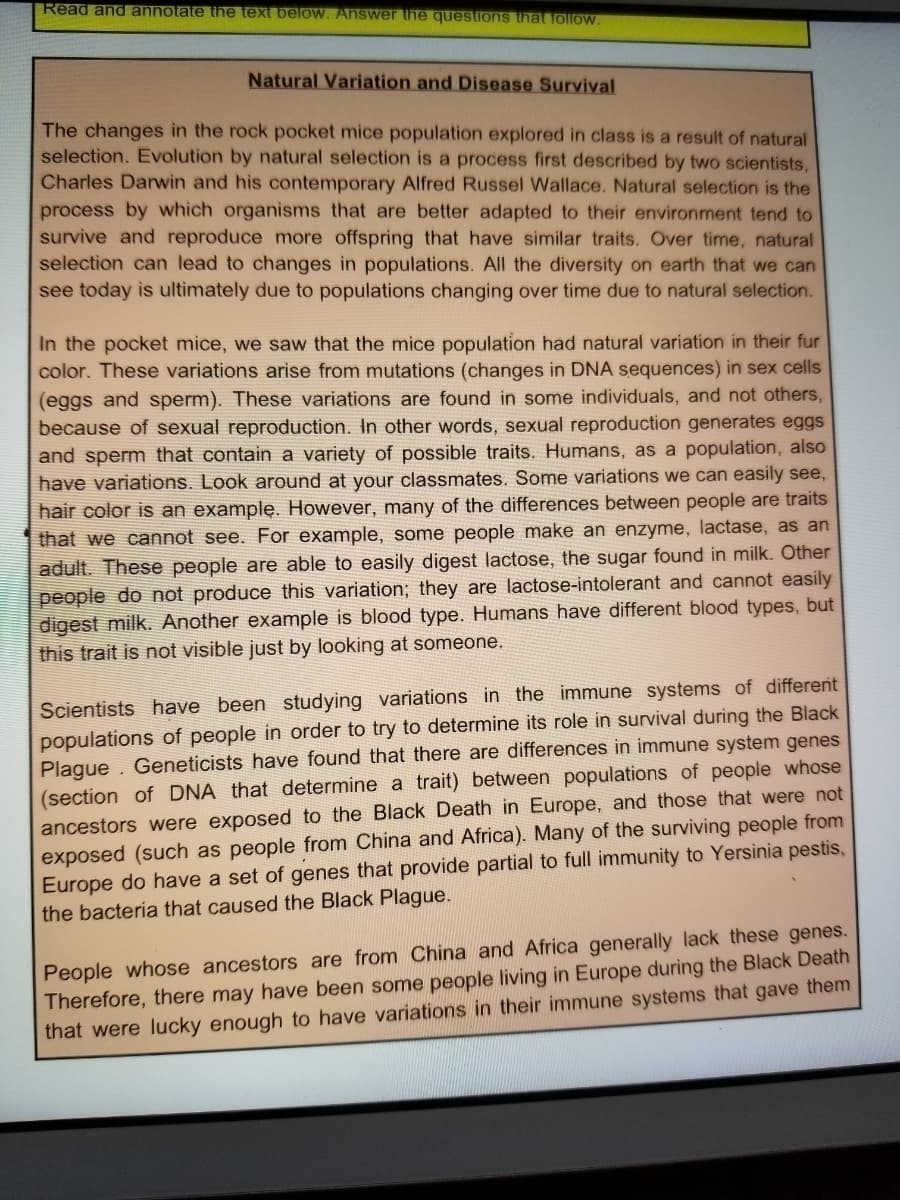 Read and annotate the text below. Answer the questions that follow.
Natural Variation and Disease Survival
The changes in the rock pocket mice population explored in class is a result of natural
selection. Evolution by natural selection is a process first described by two scientists,
Charles Darwin and his contemporary Alfred Russel Wallace. Natural selection is the
process by which organisms that are better adapted to their environment tend to
survive and reproduce more offspring that have similar traits. Over time, natural
selection can lead to changes in populations. All the diversity on earth that we can
see today is ultimately due to populations changing over time due to natural selection.
In the pocket mice, we saw that the mice population had natural variation in their fur
color. These variations arise from mutations (changes in DNA sequences) in sex cells
(eggs and sperm). These variations are found in some individuals, and not others,
because of sexual reproduction. In other words, sexual reproduction generates eggs
and sperm that contain a variety of possible traits. Humans, as a population, also
have variations. Look around at your classmates. Some variations we can easily see,
hair color is an example. However, many of the differences between people are traits
that we cannot see. For example, some people make an enzyme, lactase, as an
adult. These people are able to easily digest lactose, the sugar found in milk. Other
people do not produce this variation; they are lactose-intolerant and cannot easily
digest milk. Another example is blood type. Humans have different blood types, but
this trait is not visible just by looking at someone.
Scientists have been studying variations in the immune systems of different
populations of people in order to try to determine its role in survival during the Black
Plague . Geneticists have found that there are differences in immune system genes
(section of DNA that determine a trait) between populations of people whose
ancestors were exposed to the Black Death in Europe, and those that were not
exposed (such as people from China and Africa). Many of the surviving people from
Europe do have a set of genes that provide partial to full immunity to Yersinia pestis,
the bacteria that caused the Black Plague.
People whose ancestors are from China and Africa generally lack these genes.
Therefore, there may have been some people living in Europe during the Black Death
that were lucky enough to have variations in their immune systems that gave them
