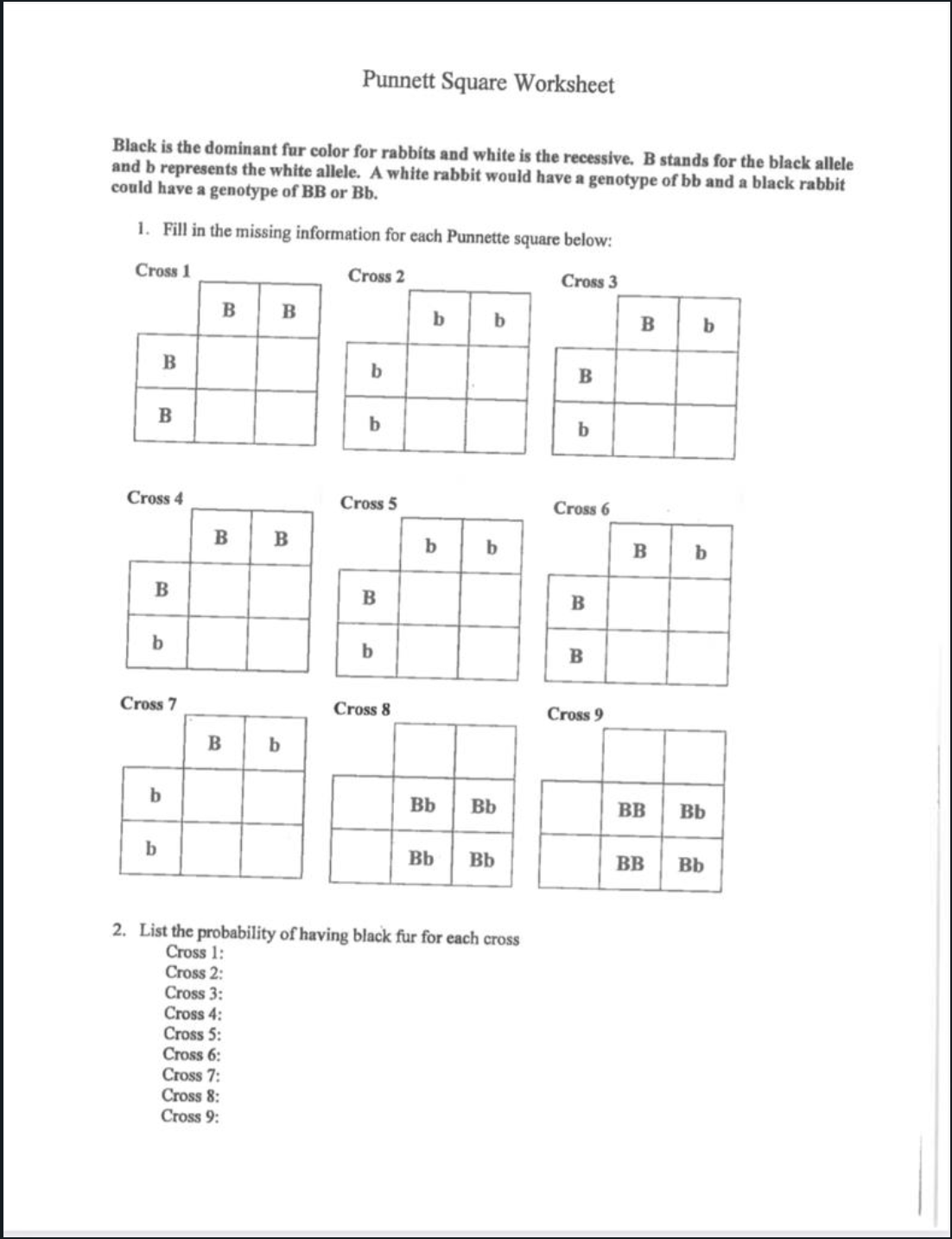 Punnett Square Worksheet
Black is the dominant fur color for rabbits and white is the recessive. B stands for the black allele
and b represents the white allele. A white rabbit would have a genotype of bb and a black rabbit
could have a genotype of BB or Bb.
1. Fill in the missing information for each Punnette square below:
Cross 1
Cross 2
Cross 3
в
B
b
B
B
Cross 4
Cross 5
Cross 6
B
b
b
b
B
b
B
Cross 7
Cross 8
Cross 9
b
Bb
Bb
BB Bb
b
Bb
Bb
BB
Bb
2. List the probability of having black fur for each cross
Cross 1:
Cross 2:
Cross 3:
Cross 4:
Cross 5:
Cross 6:
Cross 7:
Cross 8:
Cross 9:
B.
