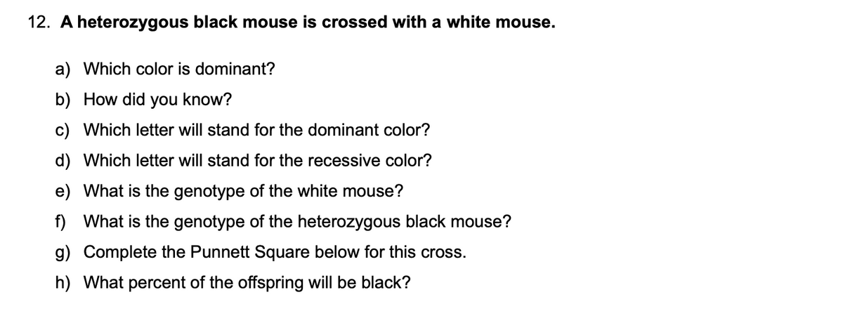 12. A heterozygous black mouse is crossed with a white mouse.
a) Which color is dominant?
b) How did you know?
c) Which letter will stand for the dominant color?
d) Which letter will stand for the recessive color?
e) What is the genotype of the white mouse?
f) What is the genotype of the heterozygous black mouse?
g) Complete the Punnett Square below for this cross.
h) What percent of the offspring will be black?
