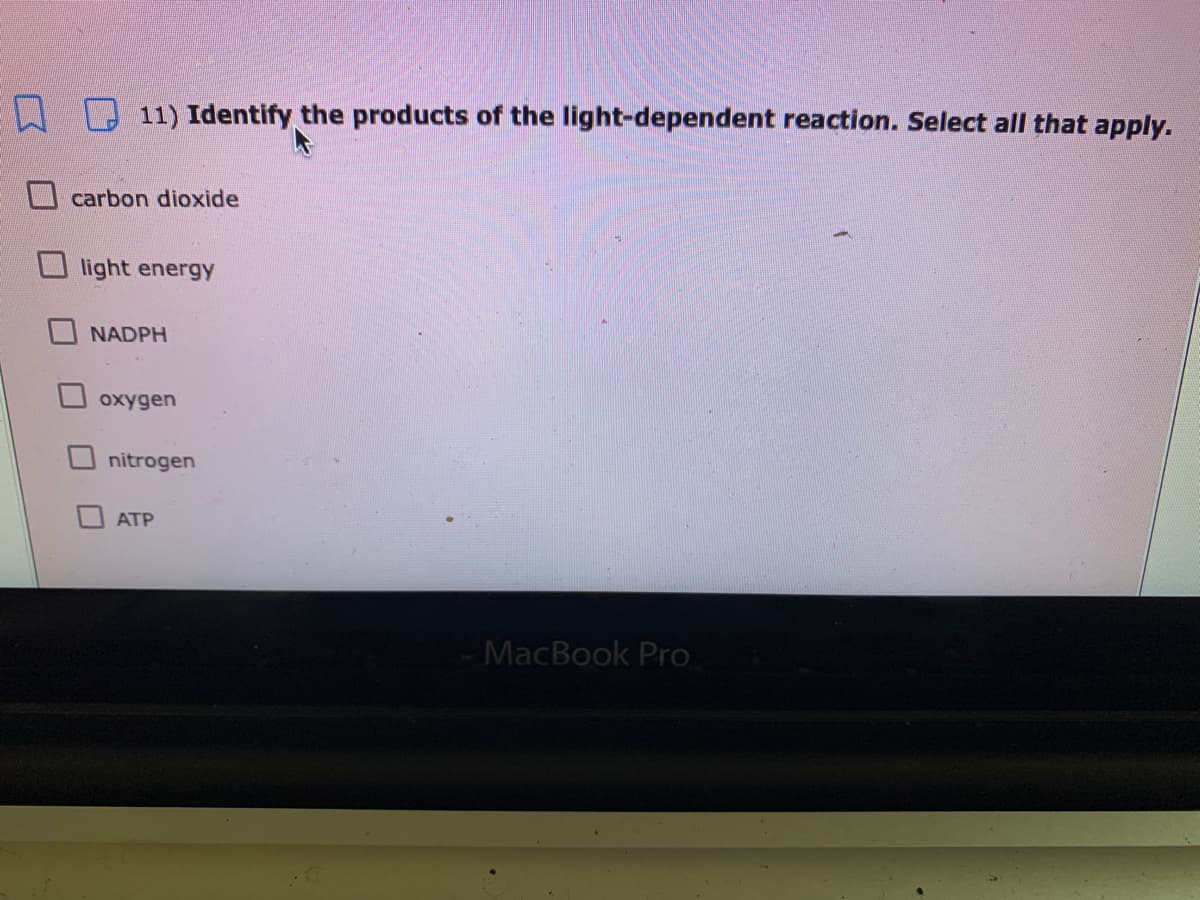 EL D 11) Identify the products of the light-dependent reaction. Select all that apply.
carbon dioxide
light energy
NADPH
oxygen
nitrogen
ATP
MacBook Pro
