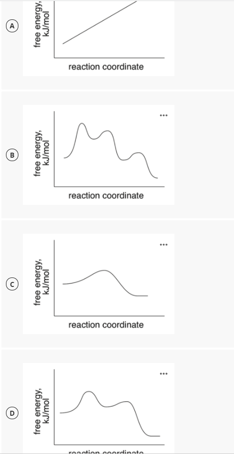 reaction coordinate
reaction coordinate
reaction coordinate
ronotion ooordinate
free energy,
kJ/mol
free energy,
kJ/mol
free energy,
kJ/mol
free energy,
kJ/mol

