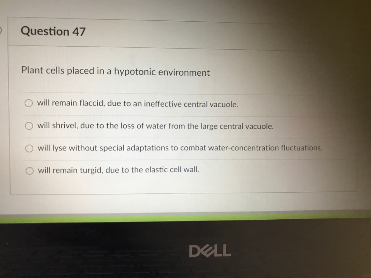 Question 47
Plant cells placed in a hypotonic environment
will remain flaccid, due to an ineffective central vacuole.
will shrivel, due to the loss of water from the large central vacuole.
will lyse without special adaptations to combat water-concentration fluctuations.
will remain turgid, due to the elastic cell wall.
DELL
