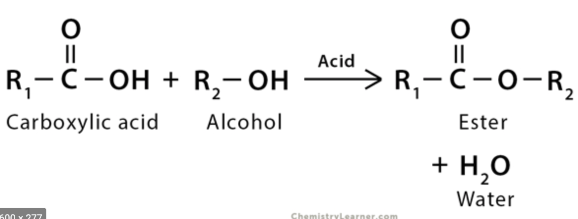 ||
||
Acid
R,—С-он + R,- OH
R,- с -о-R,
2,
Carboxylic acid
Alcohol
Ester
+ H,0
Water
600 x 277
ChemistryLearner.com
