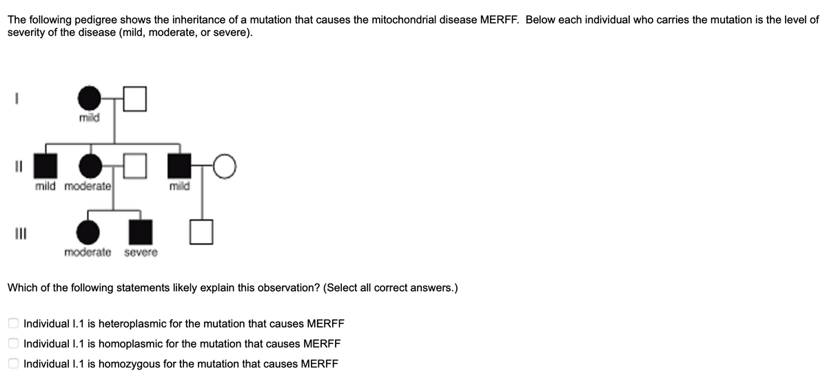 The following pedigree shows the inheritance of a mutation that causes the mitochondrial disease MERFF. Below each individual who carries the mutation is the level of
severity of the disease (mild, moderate, or severe).
I
mild
ооо
mild moderate
moderate severe
mild
Which of the following statements likely explain this observation? (Select all correct answers.)
Individual 1.1 is heteroplasmic for the mutation that causes MERFF
Individual 1.1 is homoplasmic for the mutation that causes MERFF
Individual 1.1 is homozygous for the mutation that causes MERFF