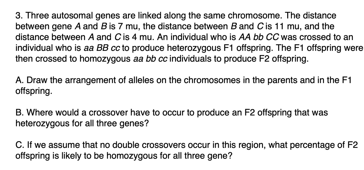 3. Three autosomal genes are linked along the same chromosome. The distance
between gene A and B is 7 mu, the distance between B and C is 11 mu, and the
distance between A and C is 4 mu. An individual who is AA bb CC was crossed to an
individual who is aa BB cc to produce heterozygous F1 offspring. The F1 offspring were
then crossed to homozygous aa bb cc individuals to produce F2 offspring.
A. Draw the arrangement of alleles on the chromosomes in the parents and in the F1
offspring.
B. Where would a crossover have to occur to produce an F2 offspring that was
heterozygous for all three genes?
C. If we assume that no double crossovers occur in this region, what percentage of F2
offspring is likely to be homozygous for all three gene?