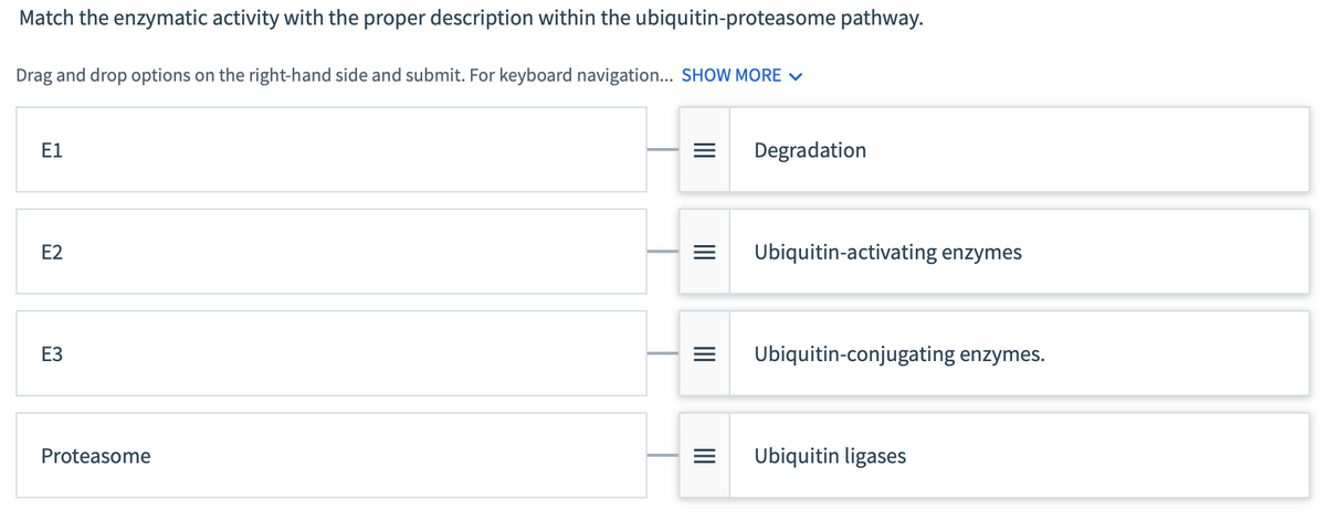 Match the enzymatic activity with the proper description within the ubiquitin-proteasome pathway.
Drag and drop options on the right-hand side and submit. For keyboard navigation... SHOW MORE ✓
E1
E2
E3
Proteasome
=
|||
=
|||
=
|||
Degradation
Ubiquitin-activating enzymes
Ubiquitin-conjugating enzymes.
Ubiquitin ligases
