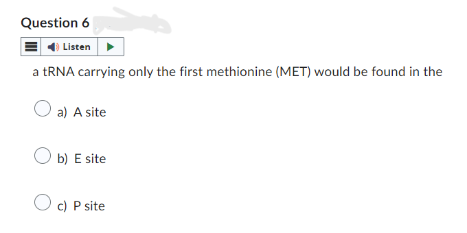 Question 6
Listen
a tRNA carrying only the first methionine (MET) would be found in the
a) A site
○ b) E site
c) P site
