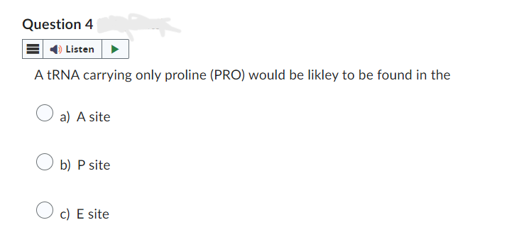 Question 4
Listen
A tRNA carrying only proline (PRO) would be likley to be found in the
○ a) A site
b) P site
c) E site