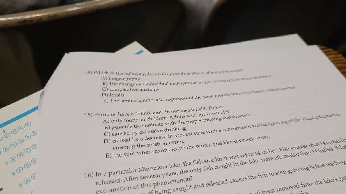 14) Which of the following does NOT provide evidence of macroevolution
A) biogeography
B) The changes an individual undergoes as it ages and adapts to its enviroe
C) comparative anatomy
D) fossils
15) Humans have a "blind spot" in our visual field. This is
0000
A) only found in children. Adults will "grow out of it"
B) possible to eliminate with the proper training and practice.
C) caused by excessive drinking.
D) caused by a decrease in arousal state with a concomitant willful ignoring of the visual information
entering the cerebral cortex.
E) the spot where axons leave the retina, and blood vessels enter.
16) In a particular Minnesota lake, the fish size limit was set to 14 inches. Fish smaller than 14 inches he
released. After several years, the only fish caught in the lake were all smaller than 14 inches. What
explanation of this phenomenon?
5 A
of heing caught and released causes the fish to stop growing before reaching
a) been removed from the lake's ger
