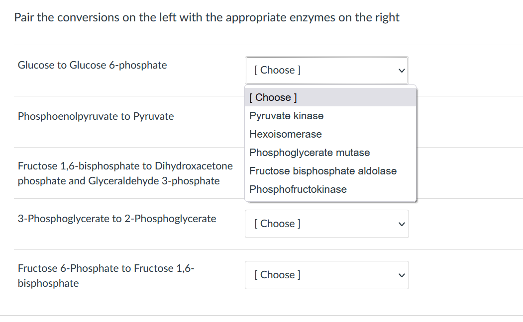 Pair the conversions on the left with the appropriate enzymes on the right
Glucose to Glucose 6-phosphate
[ Choose ]
[ Choose ]
Phosphoenolpyruvate to Pyruvate
Pyruvate kinase
Hexoisomerase
Phosphoglycerate mutase
Fructose 1,6-bisphosphate to Dihydroxacetone
phosphate and Glyceraldehyde 3-phosphate
Fructose bisphosphate aldolase
Phosphofructokinase
3-Phosphoglycerate to 2-Phosphoglycerate
[ Choose ]
Fructose 6-Phosphate to Fructose 1,6-
bisphosphate
[ Choose ]
