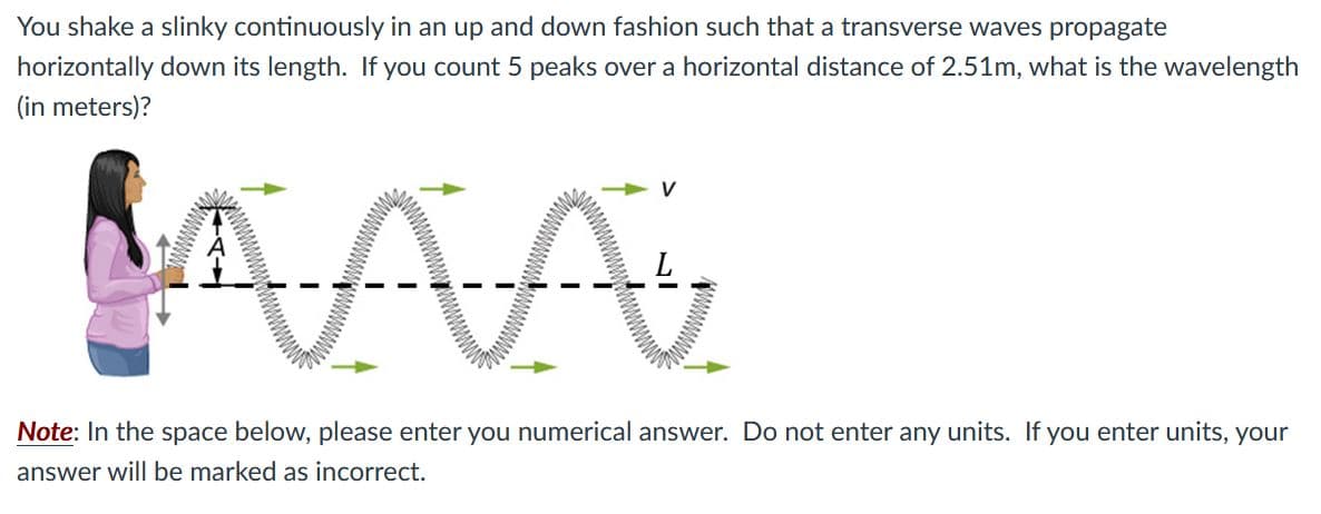 You shake a slinky continuously in an up and down fashion such that a transverse waves propagate
horizontally down its length. If you count 5 peaks over a horizontal distance of 2.51m, what is the wavelength
(in meters)?
MAA
V
Note: In the space below, please enter you numerical answer. Do not enter any units. If you enter units, your
answer will be marked as incorrect.

