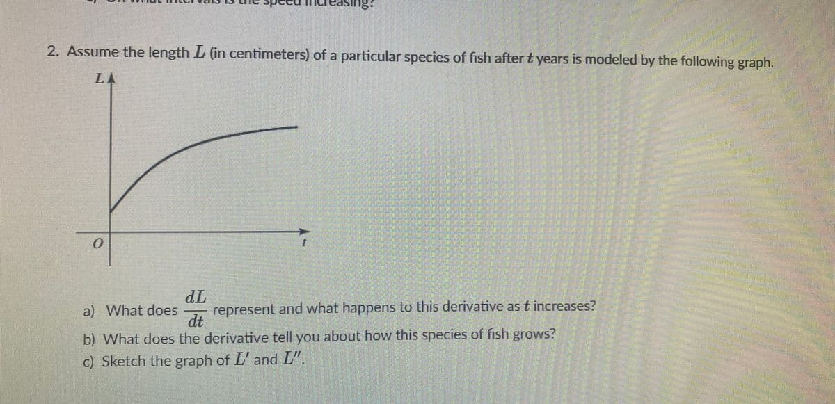 2. Assume the length L (in centimeters) of a particular species of fish after t years is modeled by the following graph.
LA
dL
represent and what happens to this derivative as t increases?
dt
a) What does
b) What does the derivative tell you about how this species of fish grows?
c) Sketch the graph of L' and L".

