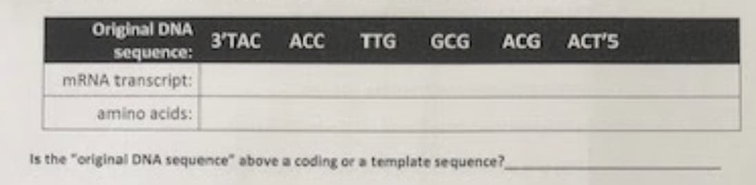 Original DNA
3'TAC ACC
TTG
GCG
ACG ACT'S
sequence:
MRNA transcript:
amino acids:
Is the "original DNA sequence" above a coding or a template sequence?
