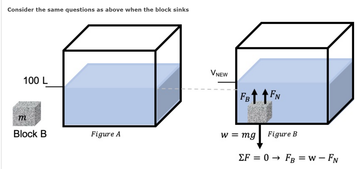 Consider the same questions as above when the block sinks
VNEW
100 L
m
Block B
Figure A
w = mg
Figure B
EF = 0 → Fg = w – FN

