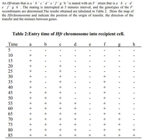 An Hfrstrain that is a *b*c*d* e*f* g *h* is mated with an F strain that is a b e d
e f gh. The mating is interrupted at 5 minutes interval, and the genotypes of the F
recombinants are determined. The results obtained are tabulated in Table 2. Draw the map of
the Hfrchromosome and indicate the position of the origin of transfer, the direction of the
transfer and the minutes between genes.
Table 2:Entry time of Hfr chromosome into recipient cell.
Time
a
d
e
f
h
5
10
15
20
25
30
35
40
45
50
55
60
65
70
75
80
85
+ +
+ + + + +
+
+ + +
+ + +
+ + + +
+ + +
+ + +
+ + + +
+ + + + +
