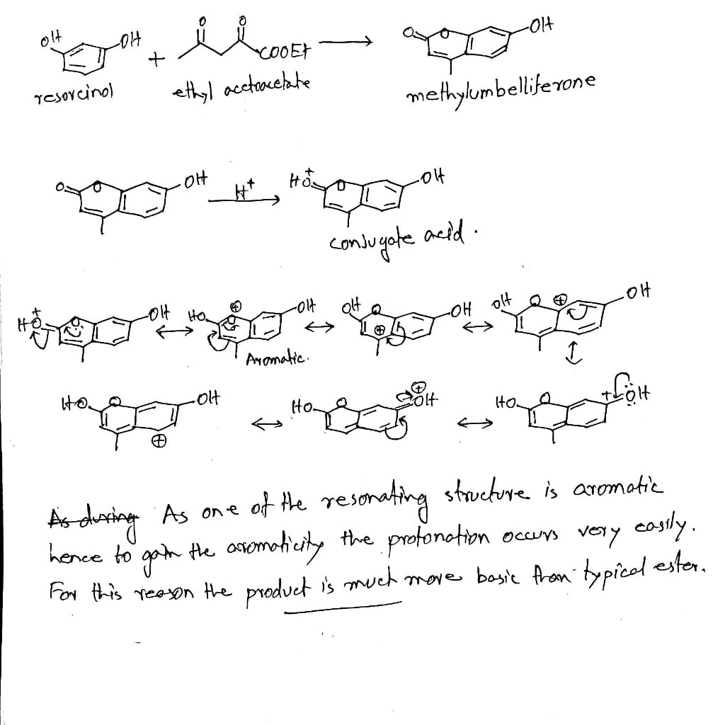 -014
resovcinol
ethyl accteacebate
methylumbelliferone
condugote acid
OH
HO
Aromatic.
Ho.
Olt
IHo.
As dharing As one of Hhe resonating strvehore is aromotie
hence to gon occus very castly.
Hhe arromaticity the profonotion
For this reason the product is meueh move basie from typical ester,
