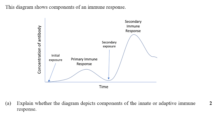 This diagram shows components of an immune response.
Secondary
Immune
Response
Secondary
exposure
Initial
exposure
Primary Immune
Response
Time
(a)
Explain whether the diagram depicts components of the innate or adaptive immune
2
response.
Concentration of antibody
