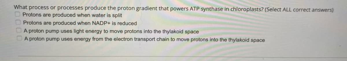 What process or processes produce the proton gradient that powers ATP synthase in chloroplasts? (Select ALL correct answers)
O Protons are produced when water is split
O Protons are produced when NADP+ is reduced
A proton pump uses light energy to move protons into the thylakoid space
OA proton pump uses energy from the electron transport chain to move protons into the thylakoid space
