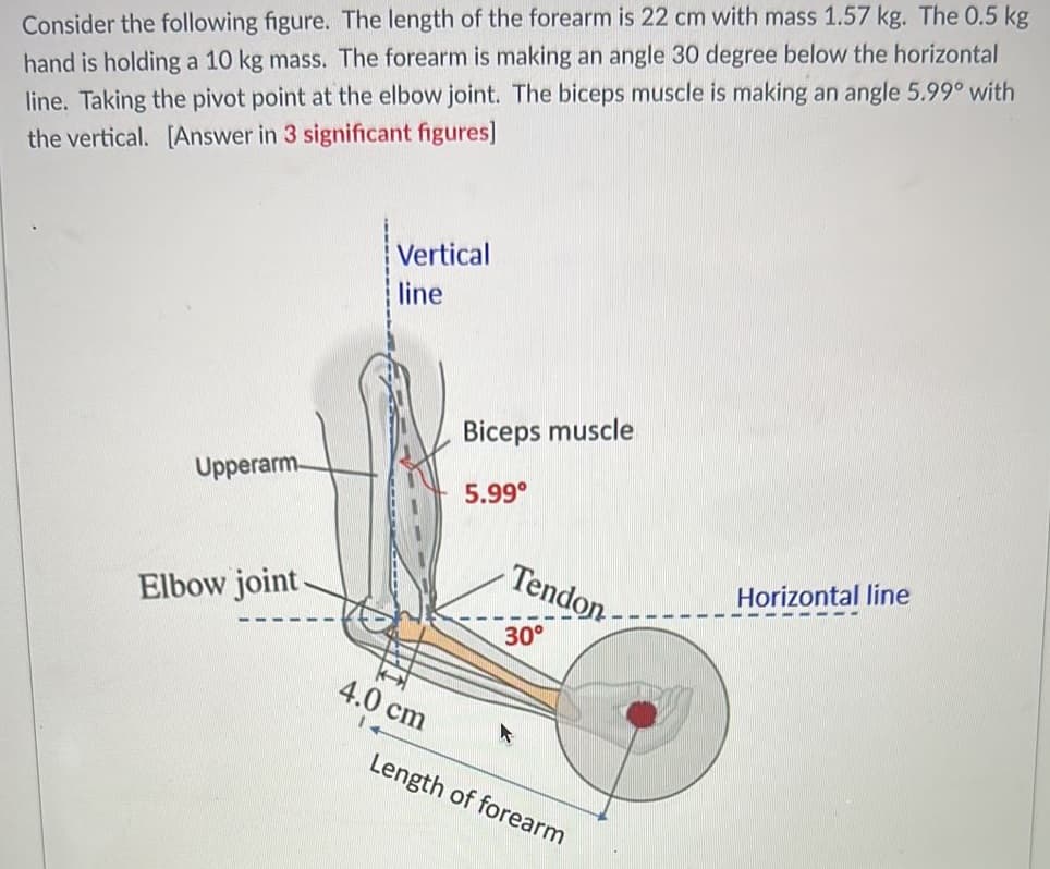 Consider the following figure. The length of the forearm is 22 cm with mass 1.57 kg. The 0.5 kg
hand is holding a 10 kg mass. The forearm is making an angle 30 degree below the horizontal
line. Taking the pivot point at the elbow joint. The biceps muscle is making an angle 5.99⁰ with
the vertical. [Answer in 3 significant figures]
Upperarm
Elbow joint
Vertical
line
4.0 cm
1+
Biceps muscle
5.99⁰
Tendon-
30°
Length of forearm
Horizontal line