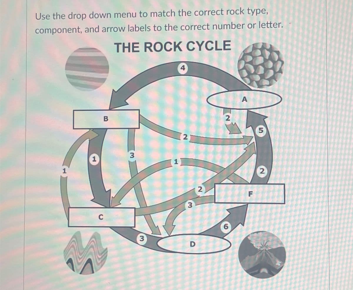 Use the drop down menu to match the correct rock type,
component, and arrow labels to the correct number or letter.
THE ROCK CYCLE
1
B
C
$
3
3
1
4
2
3
D
2
2
6
A
F
5
2