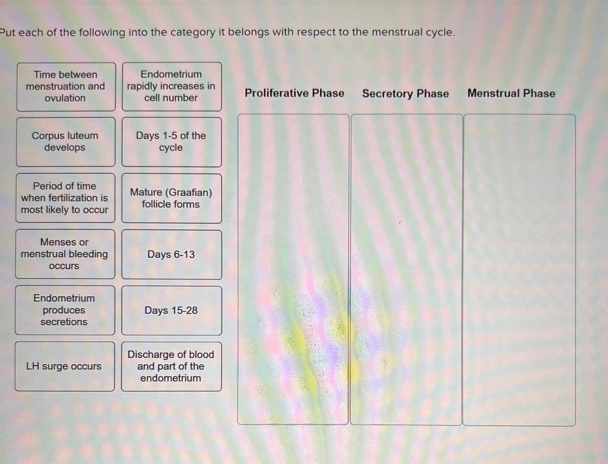 Put each of the following into the category it belongs with respect to the menstrual cycle.
Time between
menstruation and
ovulation
Corpus luteum
develops
Period of time
when fertilization is
most likely to occur
Menses or
menstrual bleeding
occurs
Endometrium
produces
secretions
LH surge occurs
Endometrium
rapidly increases in
cell number
Days 1-5 of the
cycle
Mature (Graafian)
follicle forms
Days 6-13
Days 15-28
Discharge of blood
and part of the
endometrium
Proliferative Phase
Secretory Phase
Menstrual Phase