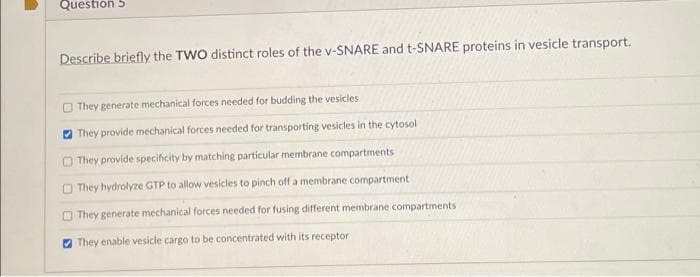 Question 5
Describe briefly the TWO distinct roles of the v-SNARE and t-SNARE proteins in vesicle transport.
O They generate mechanical forces needed for budding the vesicles
O They provide mechanical forces needed for transporting vesicles in the cytosol
O They provide specificity by matching particular membrane compartments
O They hydrolyze GTP to allow vesicles to pinch off a membrane compartment
O They generate mechanical forces needed for fusing different membrane compartments
O They enable vesicle cargo to be concentrated with its receptor
