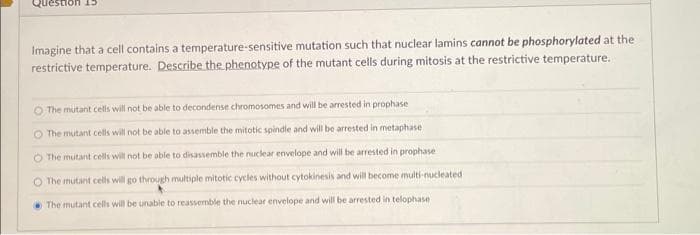 stion 15
Imagine that a cell contains a temperature-sensitive mutation such that nuclear lamins cannot be phosphorylated at the
restrictive temperature. Describe the phenotype of the mutant cells during mitosis at the restrictive temperature.
O The mutant cells will not be able to decondense chromosomes and will be arrested in prophase
O The mutant cells will not be able to assemble the mitotic spindle and will be arrested in metaphase
O The mutant cells will not be able to disassemble the nuclear envelope and will be arrested in prophase
O The mutant cells will go through multiple mitotic cycles without cytokinesis and will become multi-nucleated
The mutant cells will be unable to reassemble the nuclear envelope and will be arrested in telophase
