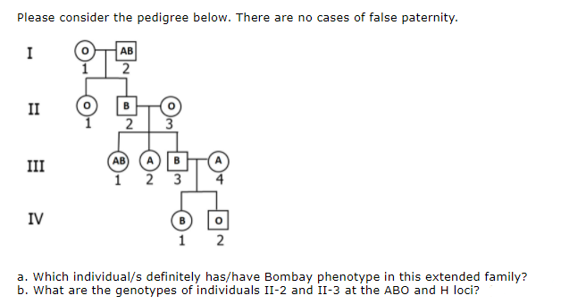 Please consider the pedigree below. There are no cases of false paternity.
I
AB
2
II
B
AB (A B
2 3
III
1
IV
1
2
a. Which individual/s definitely has/have Bombay phenotype in this extended family?
b. What are the genotypes of individuals II-2 and II-3 at the ABO and H loci?
