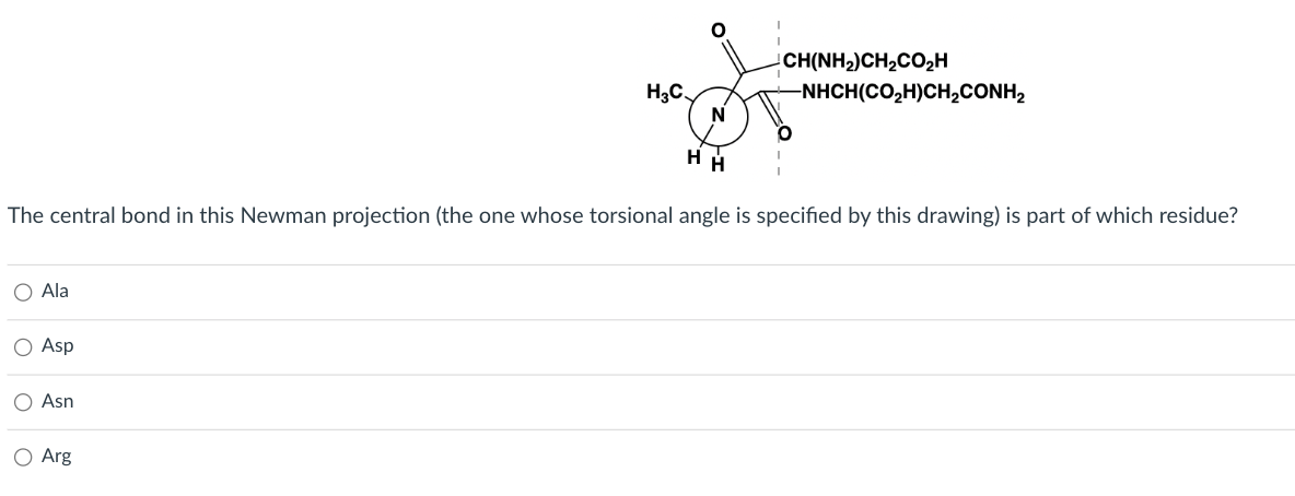 O Ala
N
HH
The central bond in this Newman projection (the one whose torsional angle is specified by this drawing) is part of which residue?
O Asp
Asn
H₂C.
O Arg
CH(NH2)CH2CO,H
–NHCH(CO,H)CH,CONH,