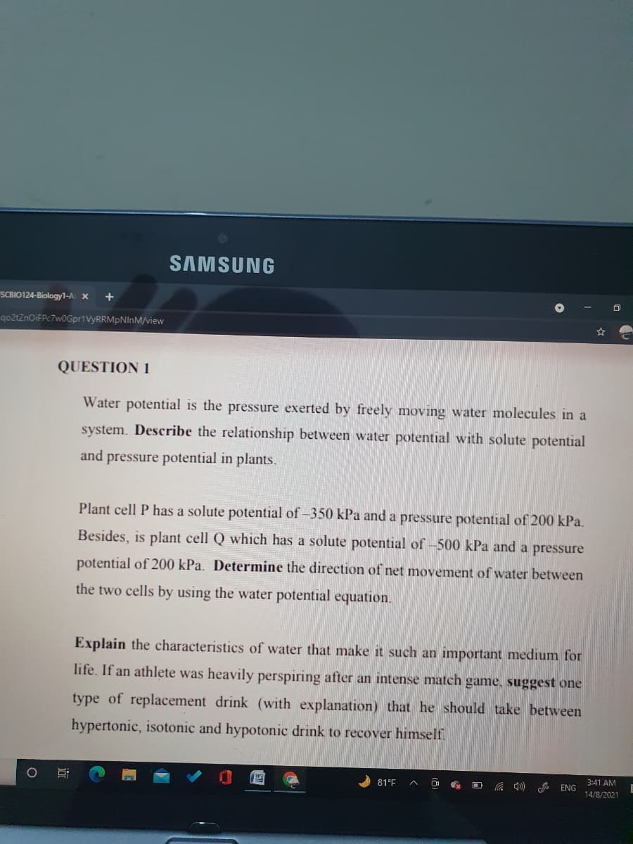 SAMSUNG
SCBIO124-Biology1-A X
+
qo2tZnoiFPc7w0Gpr1VyRRMpNInM/view
QUESTION 1
Water potential is the pressure exerted by freely moving water molecules in a
system. Describe the relationship between water potential with solute potential
and
pressure potential in plants.
Plant cell P has a solute potential of-350 kPa and a pressure potential of 200 kPa.
Besides, is plant cell Q which has a solute potential of -500 kPa and a pressure
potential of 200 kPa. Determine the direction of net movement of water between
the two cells by using the water potential equation.
Explain the characteristics of water that make it such an important medium for
life. If an athlete was heavily perspiring after an intense match game, suggest one
type of replacement drink (with explanation) that he should take between
hypertonic, isotonic and hypotonic drink to recover himself.
3:41 AM
81°F
C ) ENG
14/8/2021
