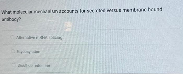 What molecular mechanism accounts for secreted versus membrane bound
antibody?
Alternative mRNA splicing
Glycosylation
Disulfide reduction