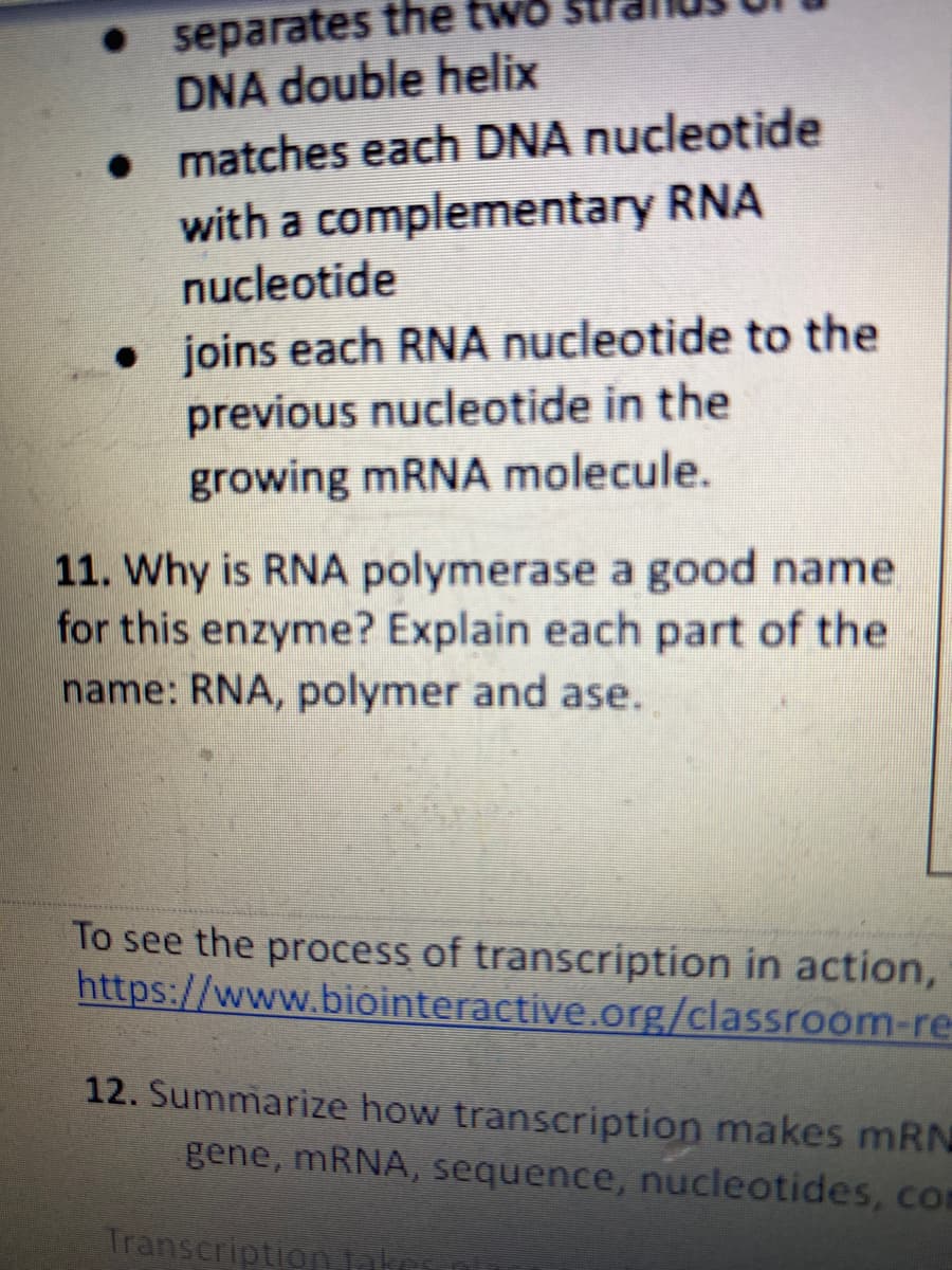 • separates the two
DNA double helix
• matches each DNA nucleotide
with a complementary RNA
nucleotide
• joins each RNA nucleotide to the
previous nucleotide in the
growing mRNA molecule.
11. Why is RNA polymerase a good name
for this enzyme? Explain each part of the
name: RNA, polymer and ase.
To see the process of transcription in action,
https://www.bióinteractive.org/classroom-re-
12. Summarize how transcription makes mRN
gene, mRNA, sequence, nucleotides, con
Transcription atr
