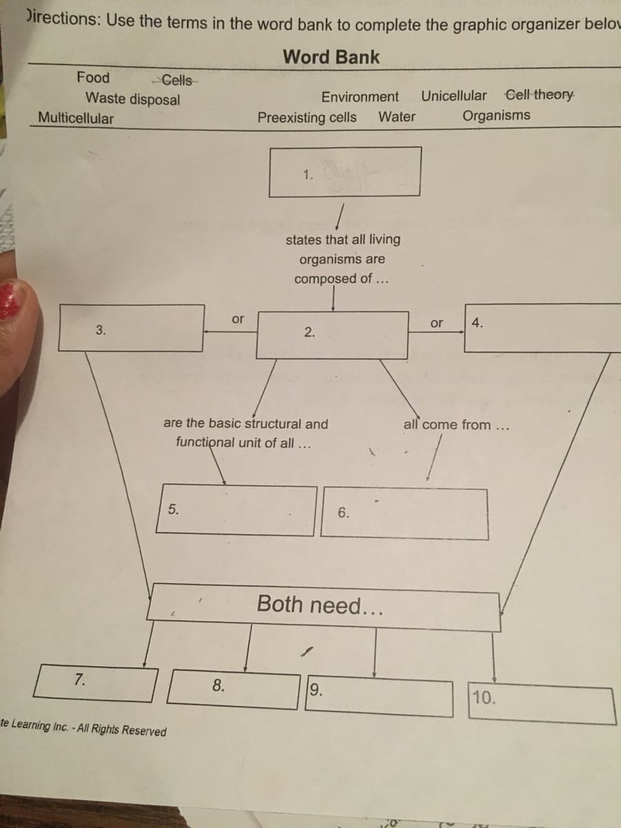 Directions: Use the terms in the word bank to complete the graphic organizer belou
Word Bank
Food
Gells
Waste disposal
Unicellular
Cell theory
Environment
Multicellular
Preexisting cells
Water
Organisms
1.
states that all living
organisms are
composed of ...
or
or
4.
3.
2.
are the basic structural and
all come from ...
functipnal unit of all ...
5.
6.
Both need...
7.
8.
9.
10.
te Learning Inc. -All Rights Reserved
