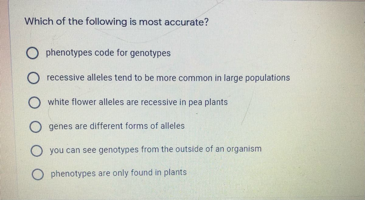 Which of the following is most accurate?
O phenotypes code for genotypes
recessive alleles tend to be more common in large populations
white flower alleles are recessive in pea plants
genes are different forms of alleles
O you can see genotypes from the outside of an organism
phenotypes are only found in plants

